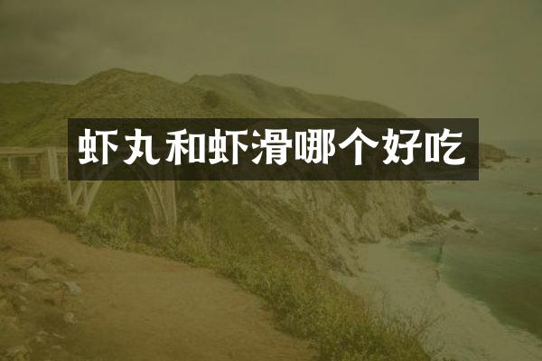 虾丸和虾滑哪个好吃