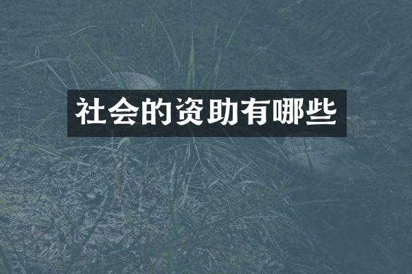 社会的资助有哪些