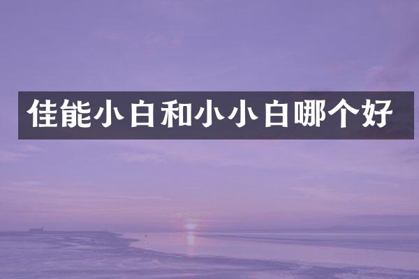 佳能小白和小小白哪个好