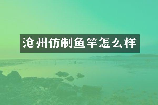 沧州仿制鱼竿怎么样