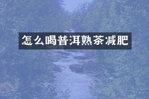 怎么喝普洱熟茶减肥