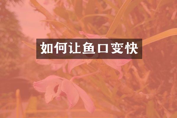 如何让鱼口变快