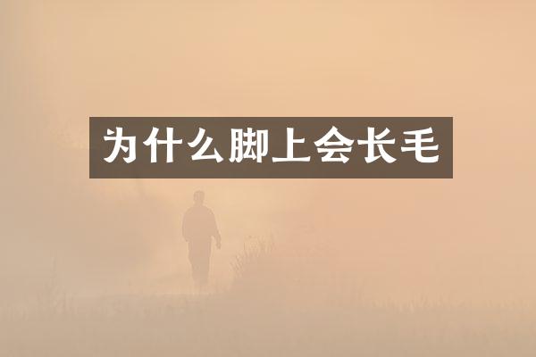 为什么脚上会长毛