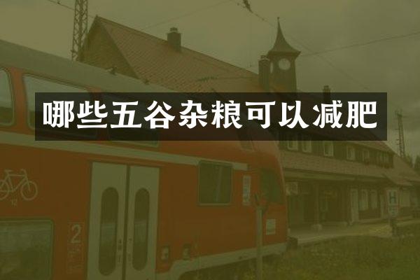 哪些五谷杂粮可以减肥