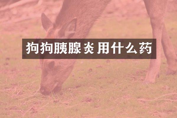 狗狗胰腺炎用什么药