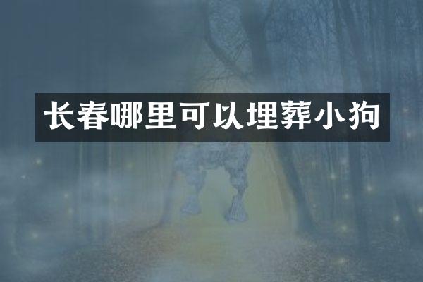 长春哪里可以埋葬小狗