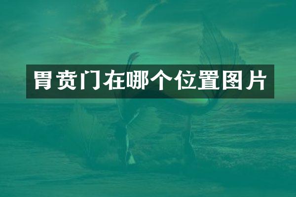 胃贲门在哪个位置图片