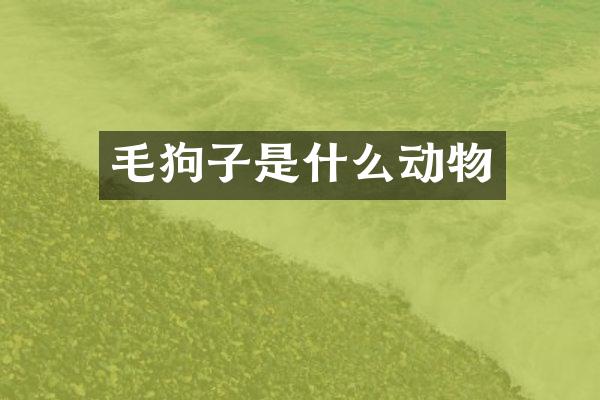 毛狗子是什么动物
