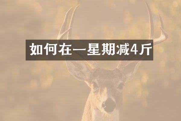 如何在一星期减4斤