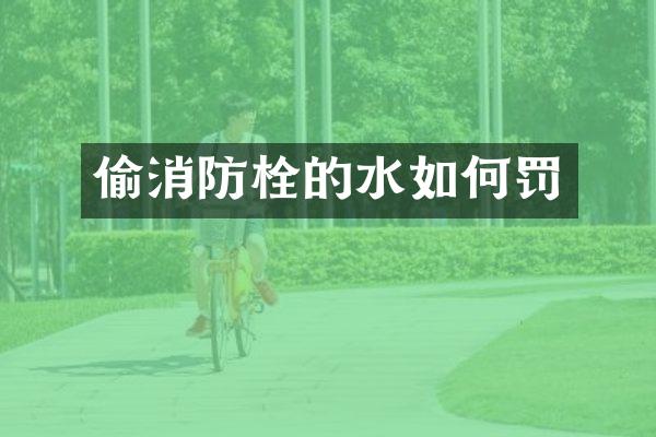 偷消防栓的水如何罚
