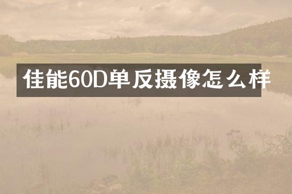 佳能60D单反摄像怎么样