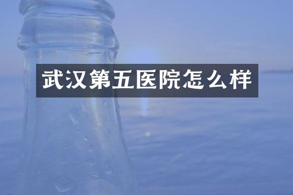 武汉第五医院怎么样