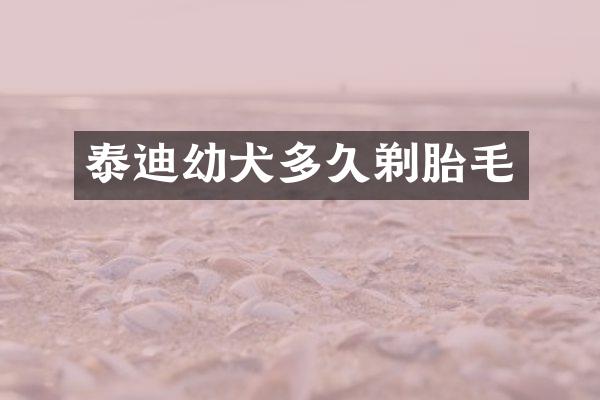 泰迪幼犬多久剃胎毛