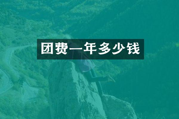 团费一年多少钱