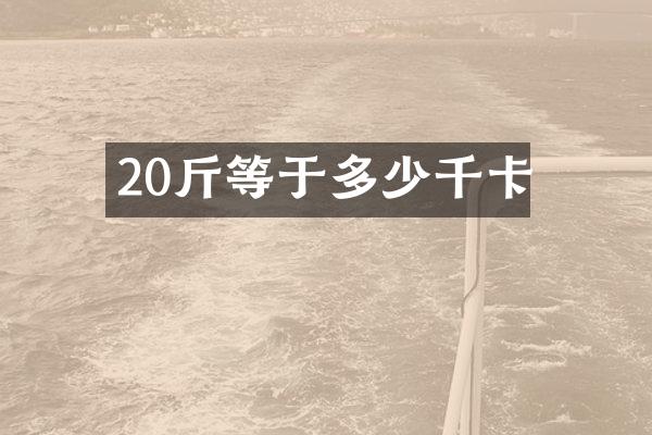 20斤等于多少千卡