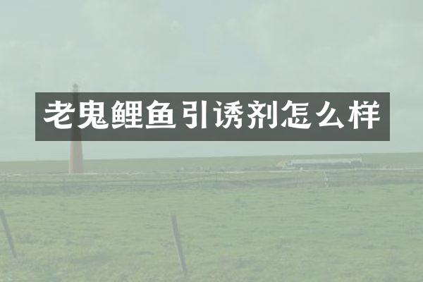 老鬼鲤鱼引诱剂怎么样