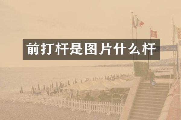 前打杆是图片什么杆