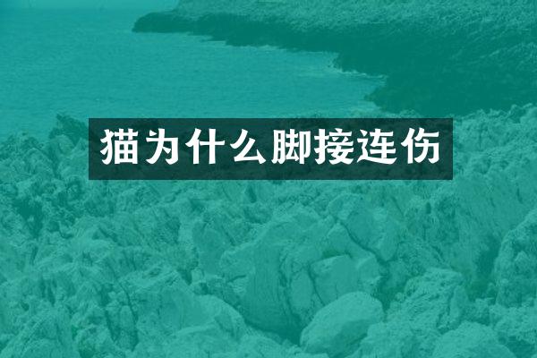 猫为什么脚接连伤