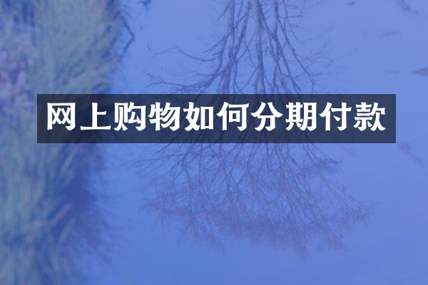 网上购物如何分期付款