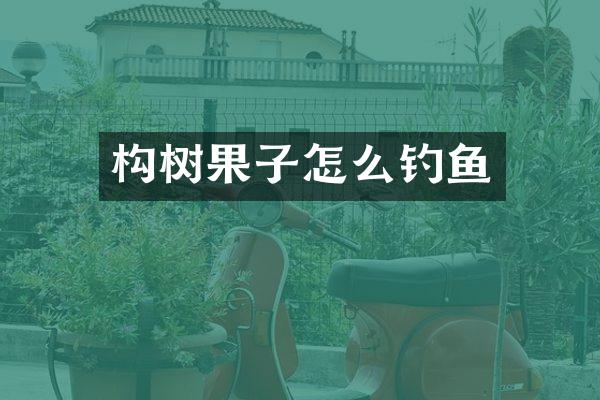 构树果子怎么钓鱼