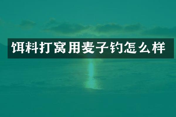 饵料打窝用麦子钓怎么样