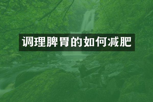 调理脾胃的如何减肥
