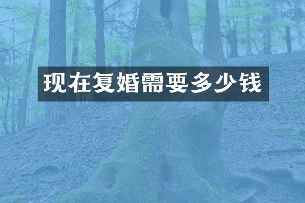 现在复婚需要多少钱