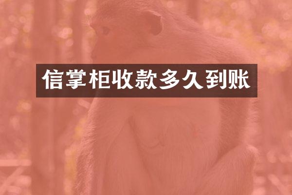 信掌柜收款多久到账