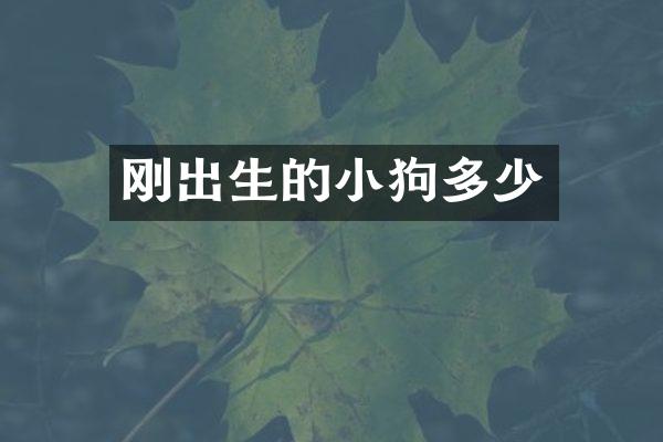 刚出生的小狗多少