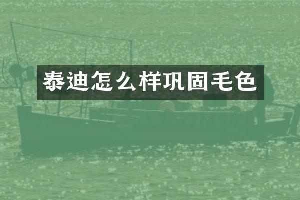 泰迪怎么样巩固毛色