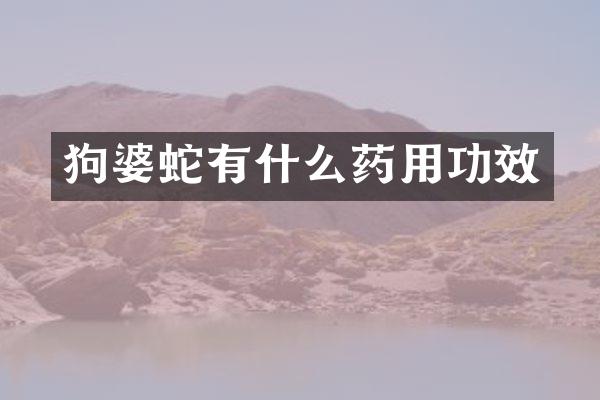 狗婆蛇有什么药用功效