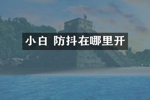 小白 防抖在哪里开