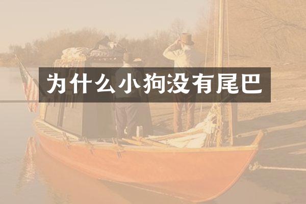 为什么小狗没有尾巴