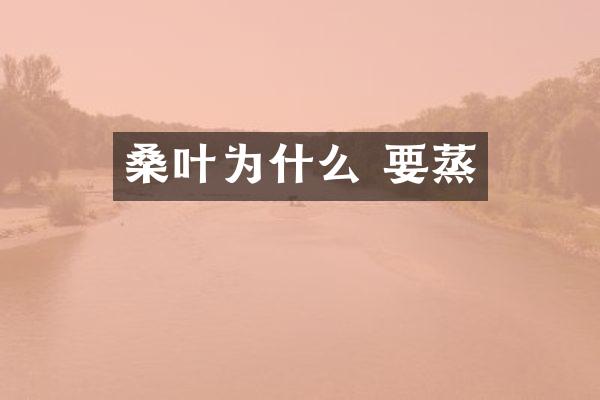 桑叶为什么 要蒸