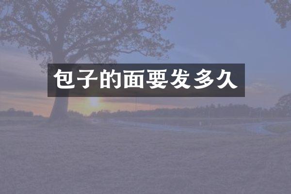 包子的面要发多久