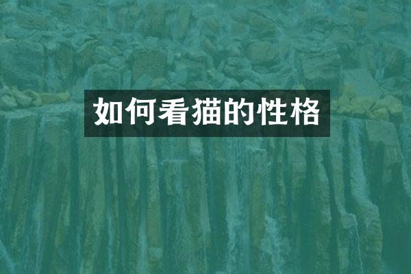 如何看猫的性格