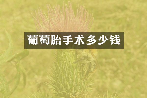 葡萄胎手术多少钱