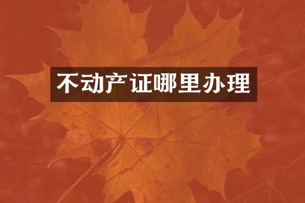 不动产证哪里办理