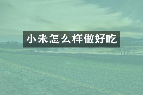小米怎么样做好吃