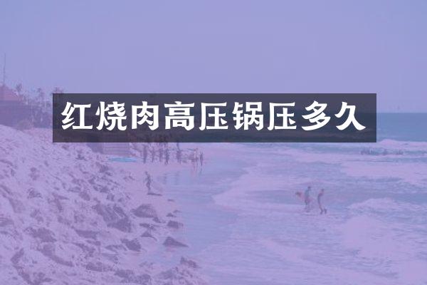 红烧肉高压锅压多久