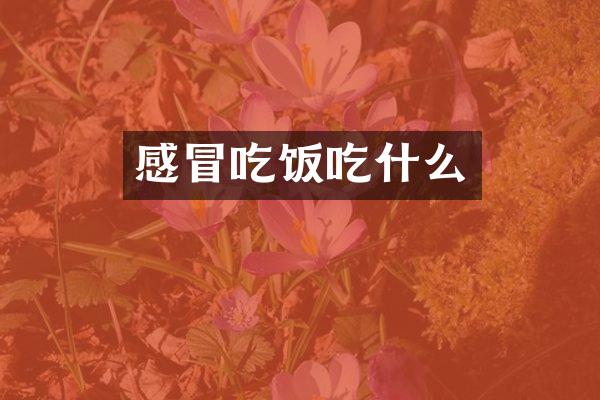 感冒吃饭吃什么