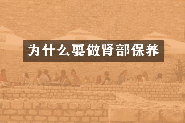 为什么要做肾部保养