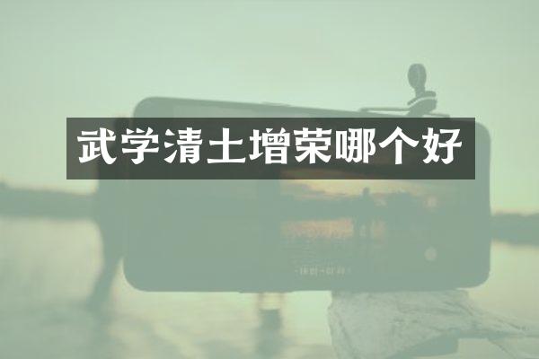 武学清土增荣哪个好