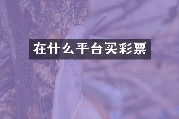 在什么平台买彩票