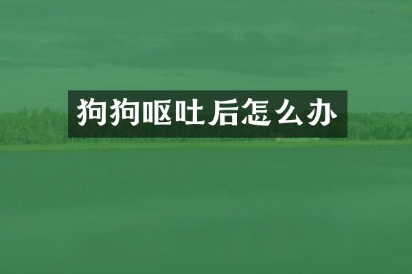 狗狗呕吐后怎么办