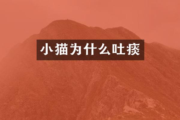 小猫为什么吐痰