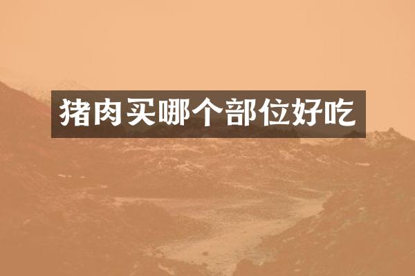 猪肉买哪个部位好吃