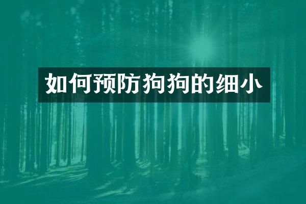 如何预防狗狗的细小