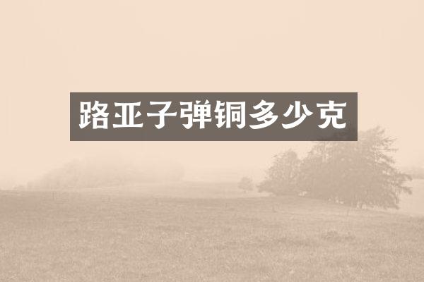路亚子弹铜多少克