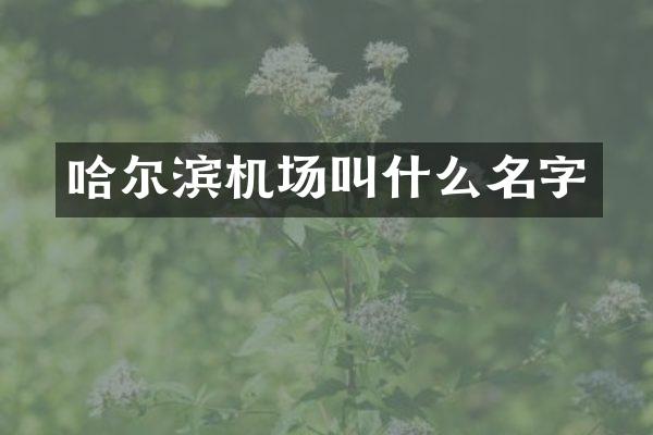 哈尔滨机场叫什么名字